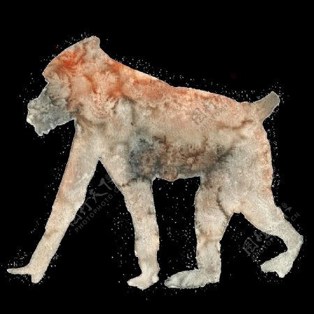 质感砂砾纹理动物透明装饰图案