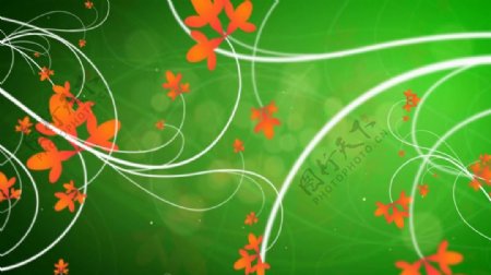 绿色背景花纹自由生长动态视频素材