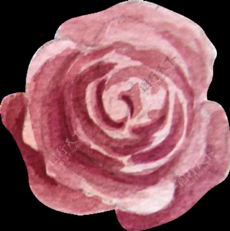 粉色玫瑰透明装饰图案