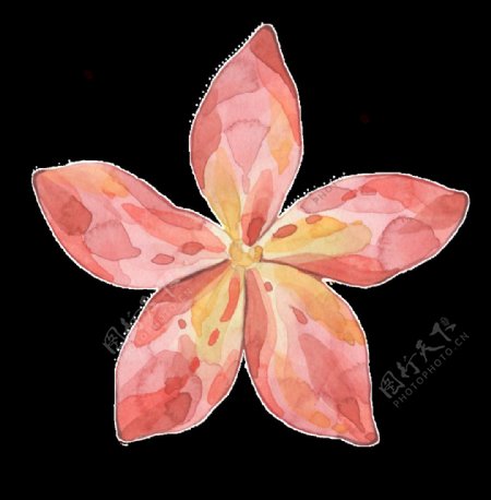 粉色五角花透明装饰图案