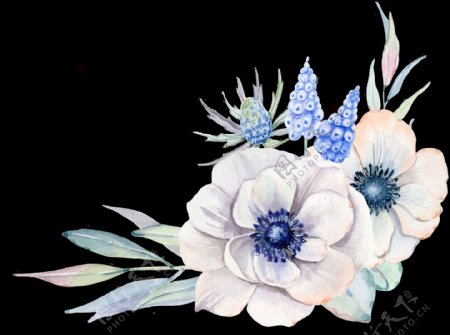手绘冷艳高贵花朵透明装饰图案