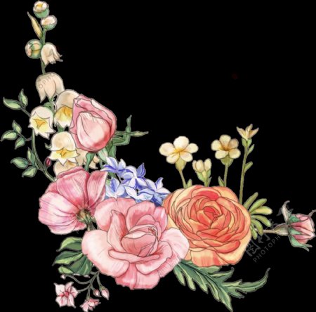 手绘艳丽玫瑰花透明装饰图案