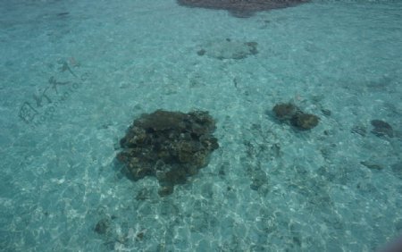 马尔代夫海底世界