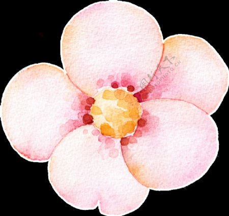 粉色可爱花卉透明装饰图案
