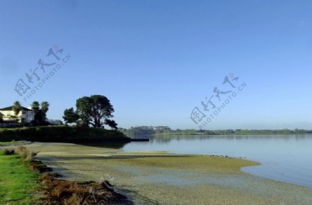 奥克兰海滨风景