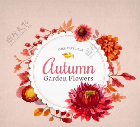 秋季花园花卉装饰标签矢量图