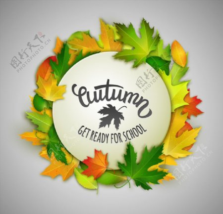 秋季树叶装饰圆形标签