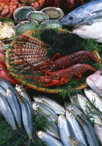 海鲜产品海鱼龙虾