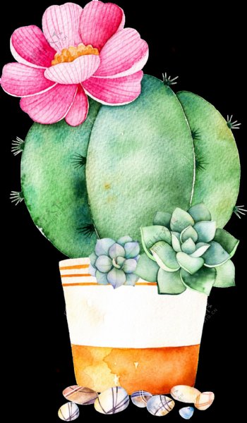 仙人掌家装花卉卡通透明素材