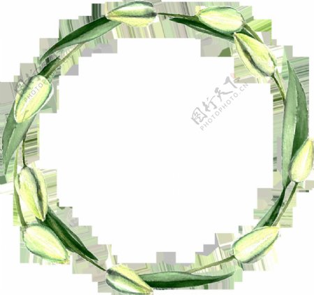 清新绿色植物圆环透明素材