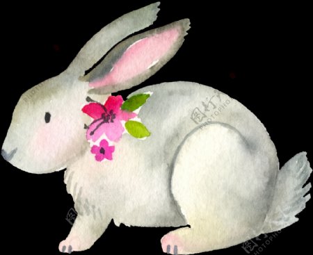 可爱卡通小白兔透明素材