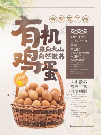 简约清新有机鸡蛋美食海报