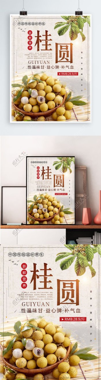 复古文艺清新食品水果桂圆海报设计