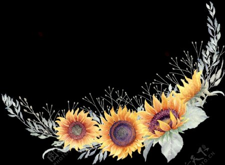 水彩手绘向日葵透明素材