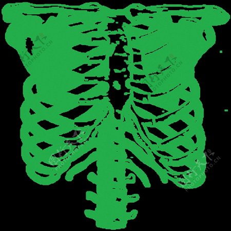 绿色手绘胸腔免抠png透明素材