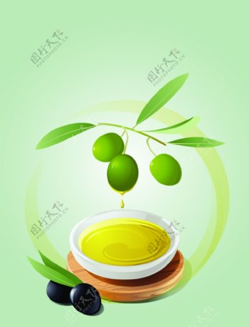 矢量美食橄榄油食品背景