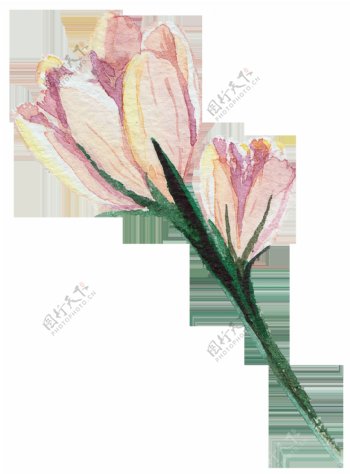 粉色手绘水彩透明花朵素材