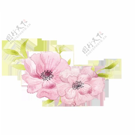 粉色手绘花朵万圣节透明装饰素材