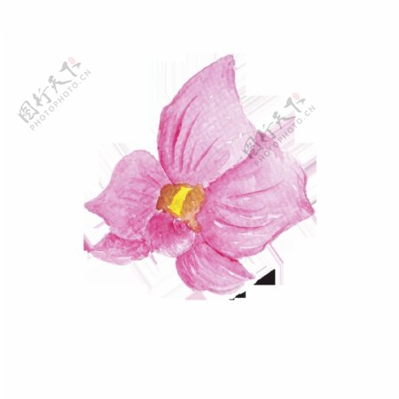 粉紫色手绘花朵时尚巴黎卡通透明素材