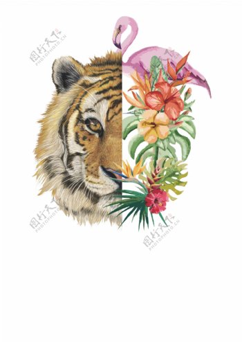 老虎花卉装饰设计元素对称不规则图案