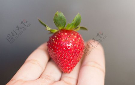 手上的草莓