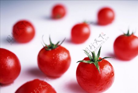 新鲜蔬果小番茄西红柿