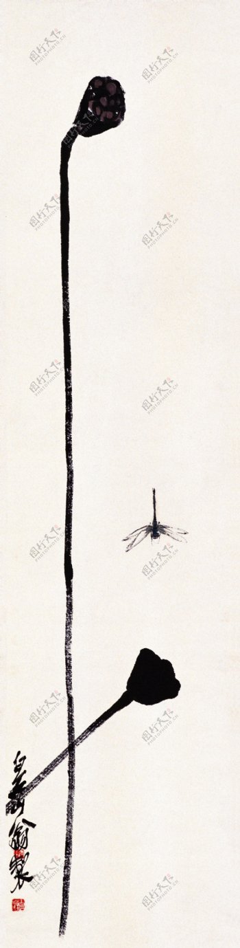 手绘黑色莲子蜻蜓植物动物毛笔装饰画