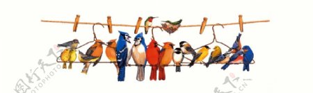 手绘彩绘各种小鸟站立在电线杆上装饰画