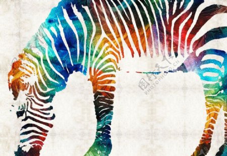 彩色彩绘斑马动物绘画水彩