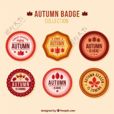 秋季徽章与平面设计收集