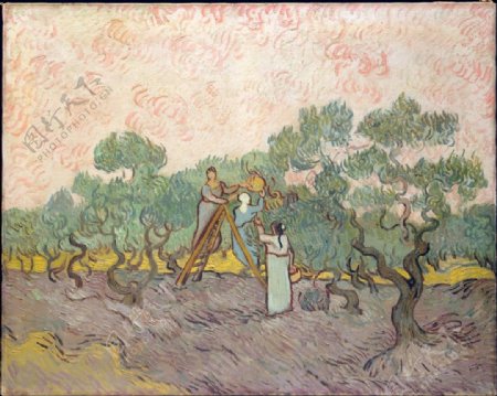 现代欧式印象风景油画采摘橄榄的女人