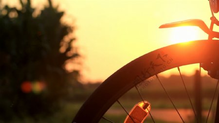 自行车的夕阳剪影