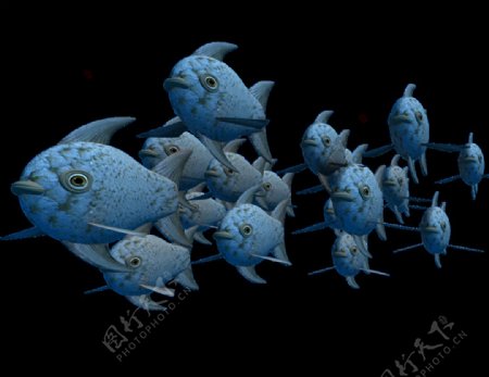 蓝色鱼群三维图免抠png透明素材