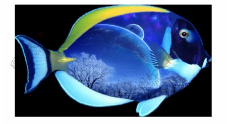 蓝色热带鱼免抠png透明图层素材