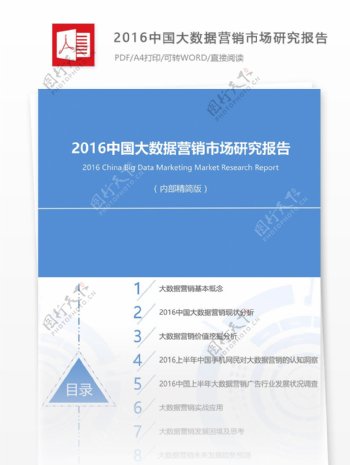 中国大数据营销市场行业分析报告