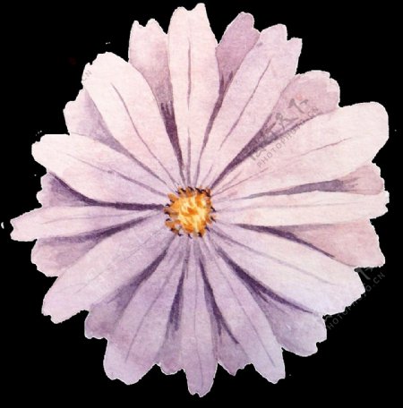 手绘古典紫色花png透明素材