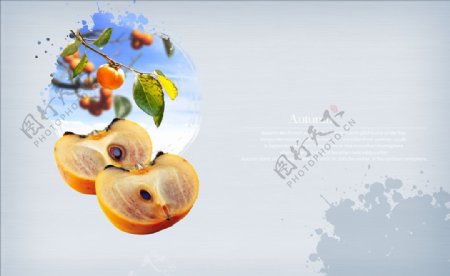 秋天海报背景图柿子