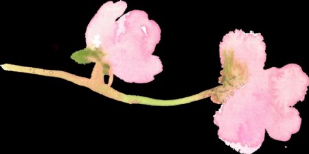 粉色桃花透明素材