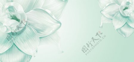 白色花朵banner背景素材