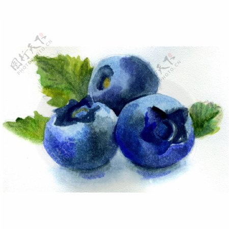 水果蓝莓卡通透明素材