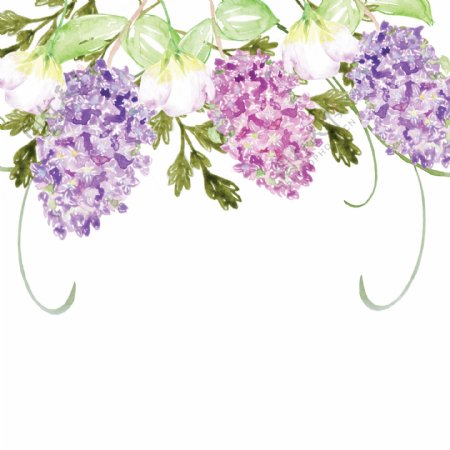 紫色茂密花卉卡通透明素材