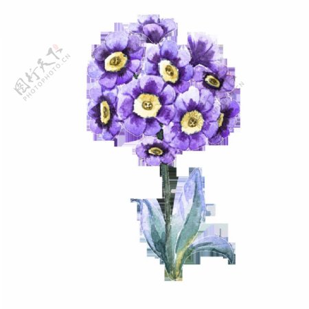 紫色花卉卡通透明素材
