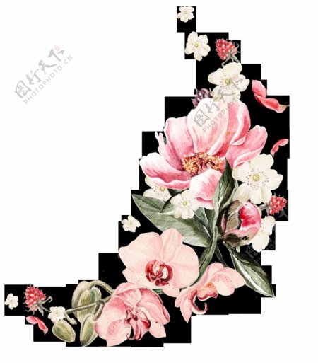 时尚粉色花卉卡通透明素材