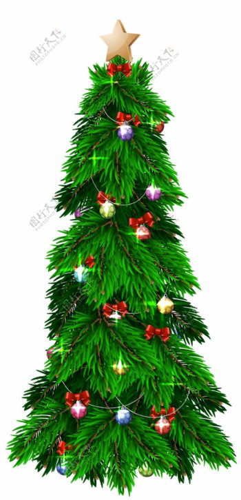 精美圣诞树免抠元素
