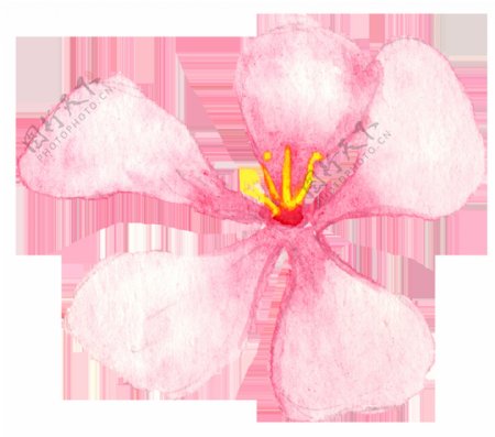 浪漫求婚花卉卡通透明装饰素材