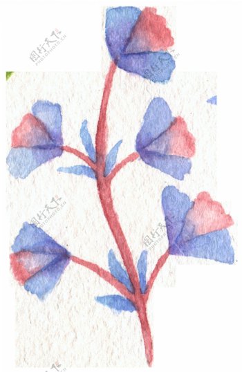 红蓝花枝卡通透明装饰素材