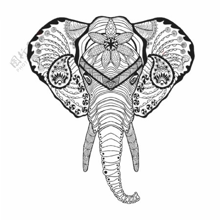 艺术花纹大象图案