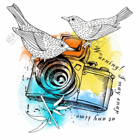 小鸟和照相机插画
