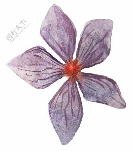 复古花卉卡通水彩透明素材