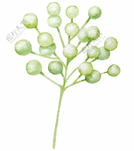 翠绿植物卡通透明素材